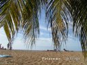 Plage de Grande Anse, Deshaies Guadeloupe