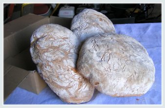 Pain de mnage